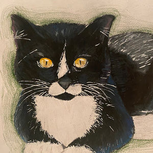 Meet your Posher, Kai